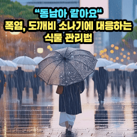 "동남아 같아요" 폭염, 도깨비 소나기에 대응하는 식물 관리법