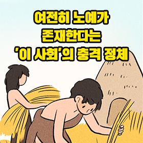 여전히 노예가 존재한다는 '이 사회'의 충격 정체