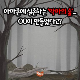 아마존에 실존하는 '악마의 숲'...OO이 만들었다고?