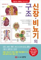 신장·비뇨기의 구조