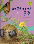 곤충 29: 여러 가지 곤충