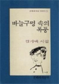 [국내도서] 바늘구멍 속의 폭풍