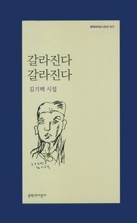 [국내도서] 갈라진다 갈라진다