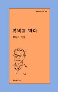 [국내도서] 봄비를 맞다