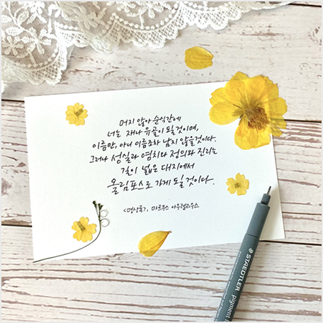 일상속손글씨