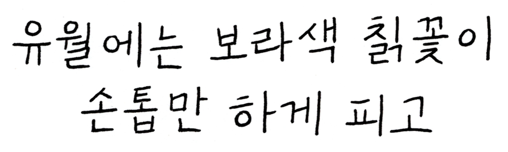 꽤 괜찮은 삶의 곳곳에서 다정함이 숨쉬기를.